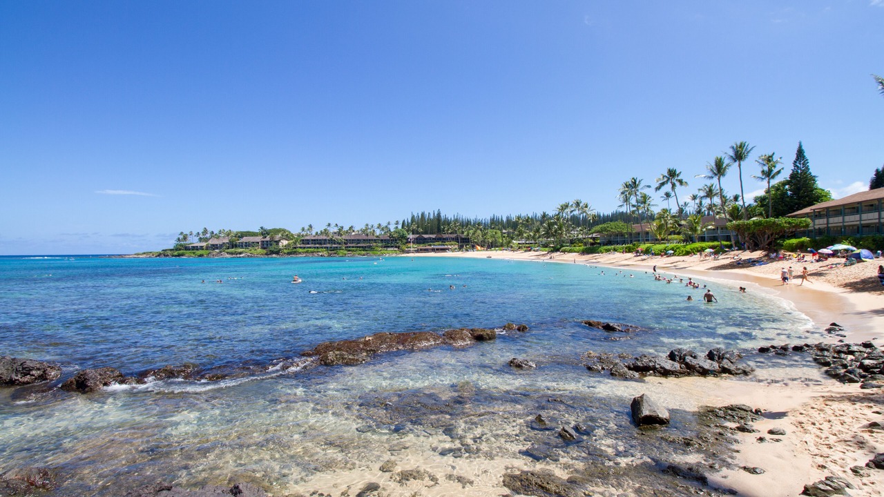 Photo of Others in Napili