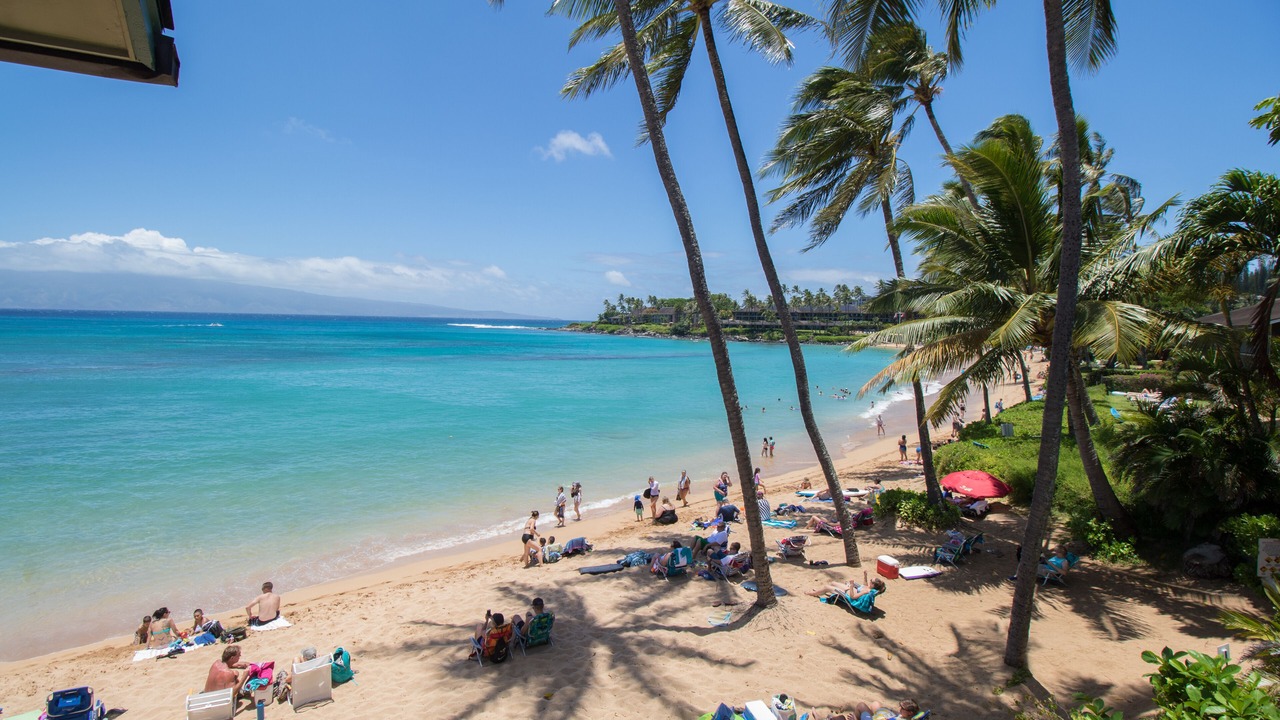 Photo of Others in Napili