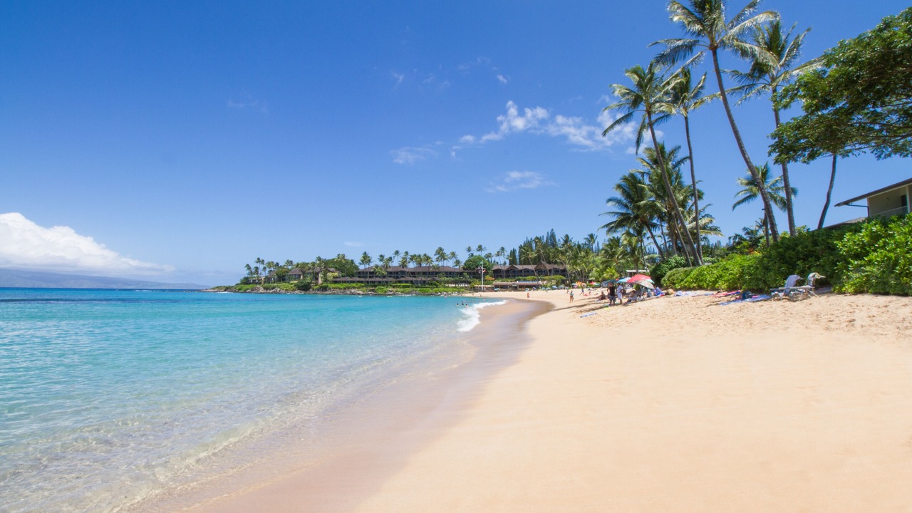 Photo of Others in Napili