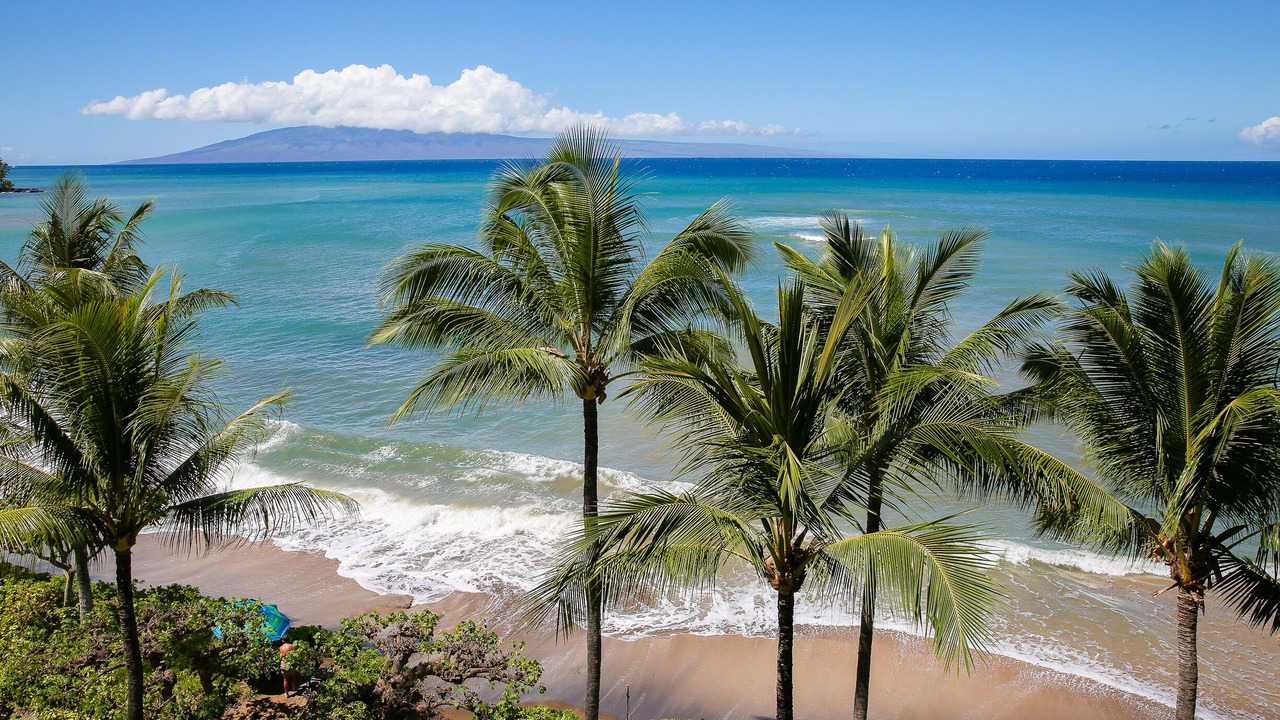 Photo of Others in Kahana