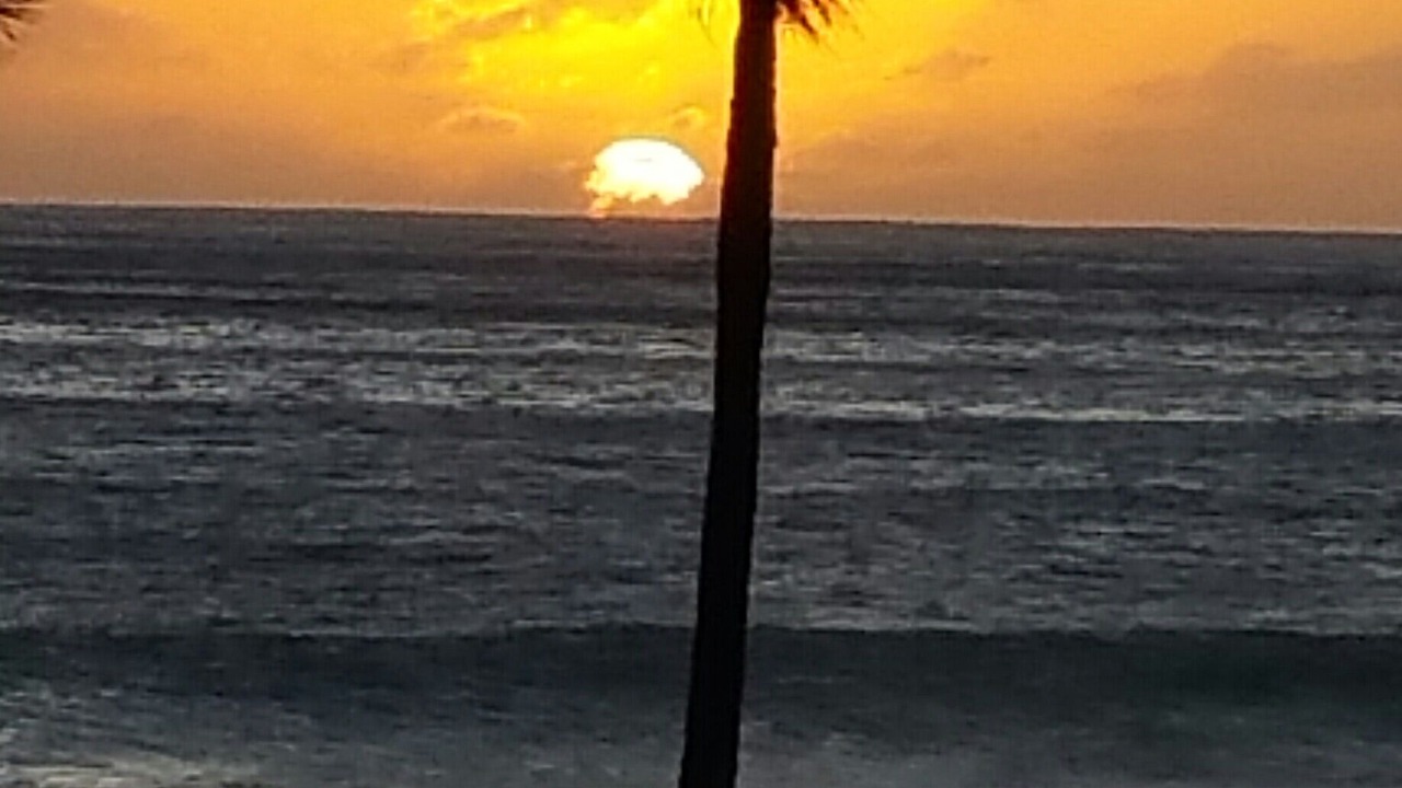Photo of Others in Nanakuli