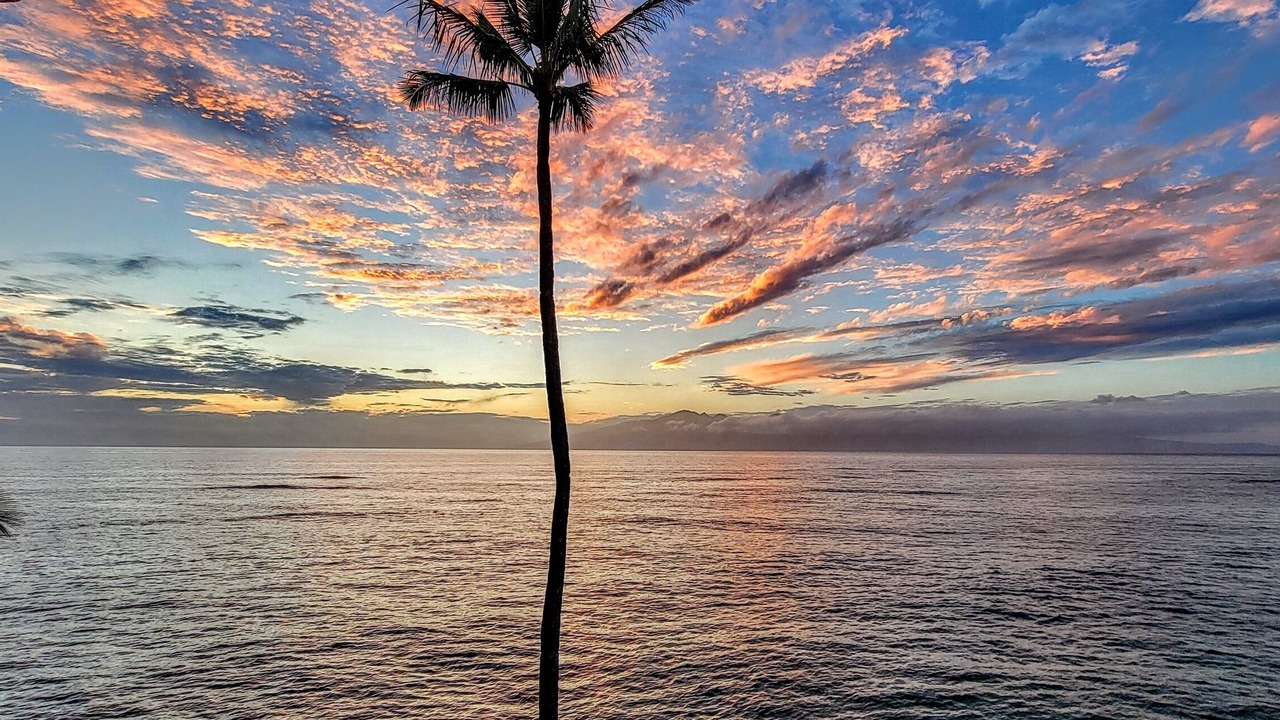 Photo of Others in Kahana