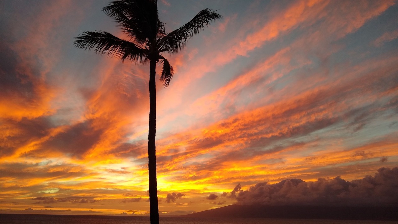 Photo of Others in Kahana
