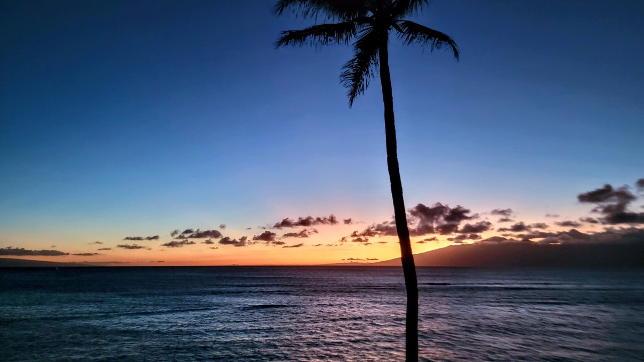 Photo of Others in Kahana