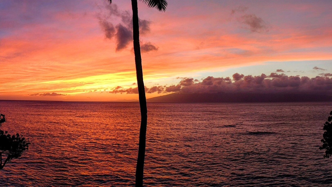 Photo of Others in Kahana