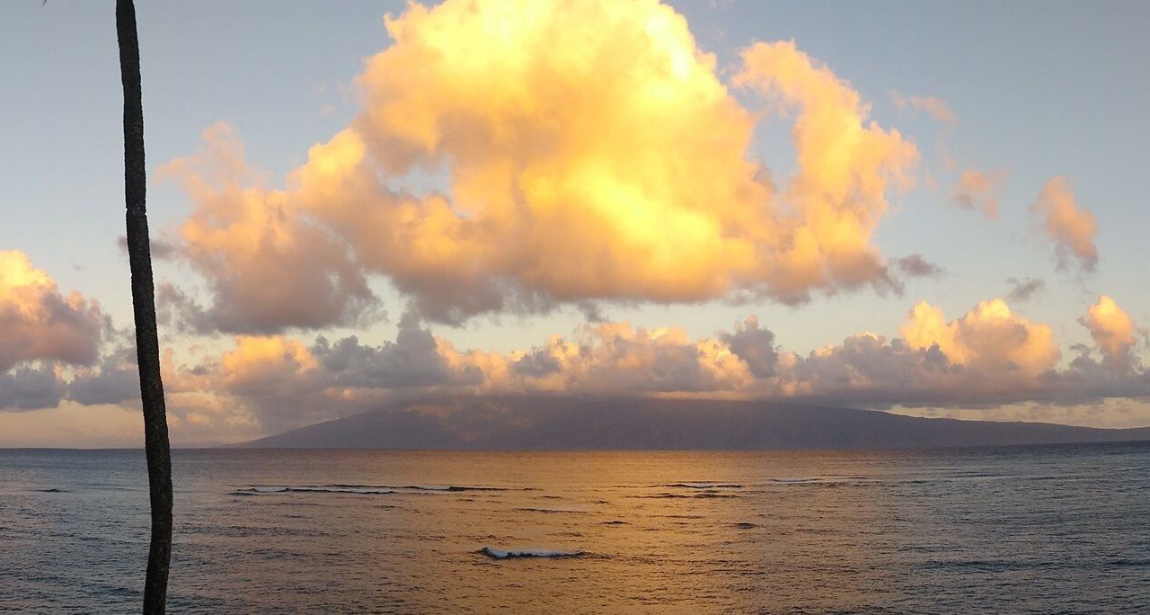 Photo of Others in Kahana