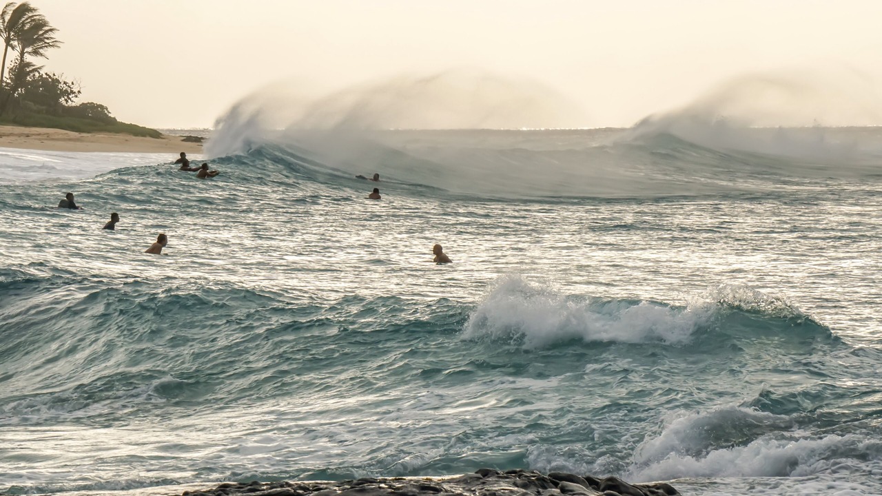 Photo of Others in Portlock