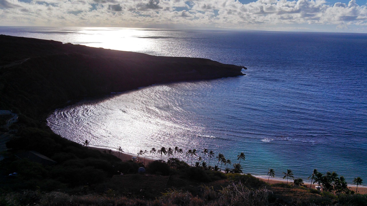 Photo of Others in Portlock