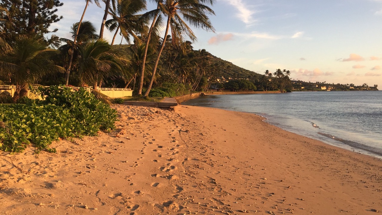 Photo of Others in Portlock