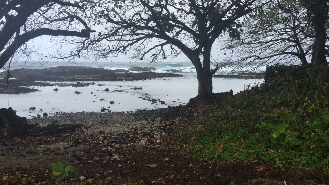 Photo of Others in Keaukaha