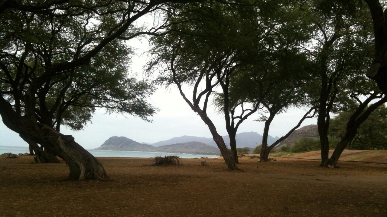 Photo of Others in Ko Olina
