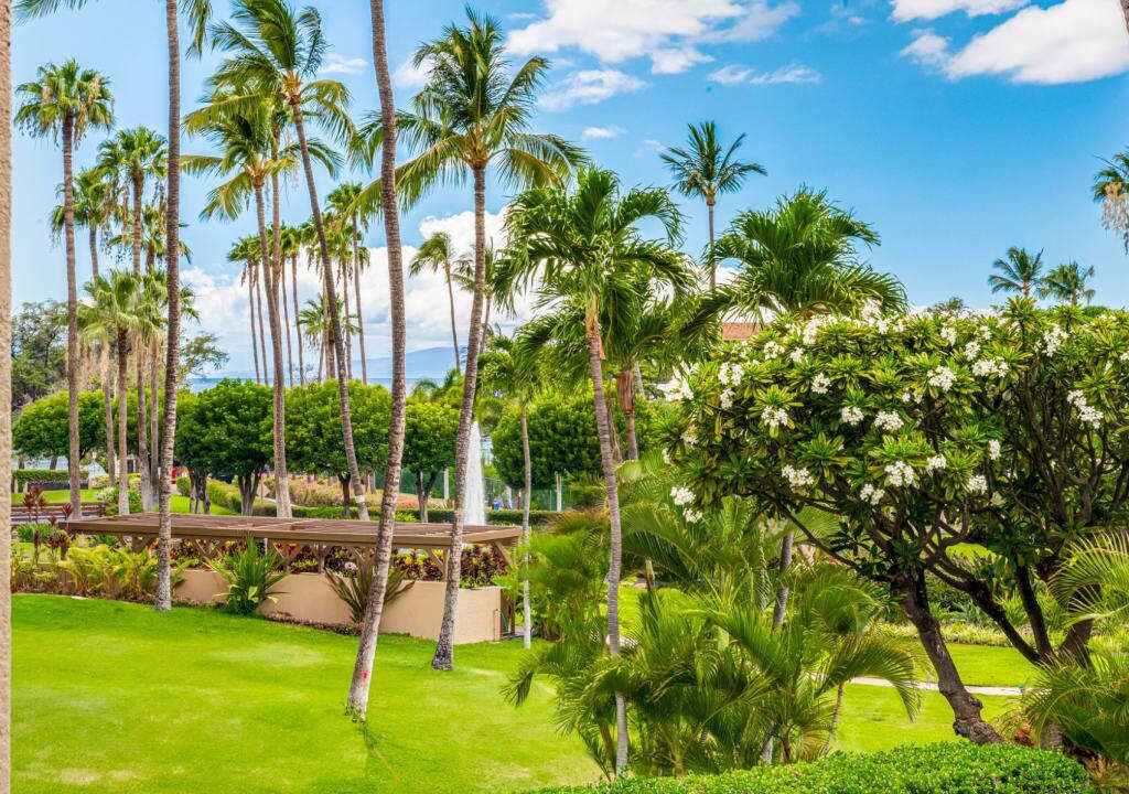 Photo of Outdoor in Kihei
