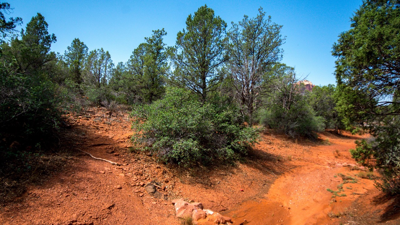 Photo of Outdoor in Sedona