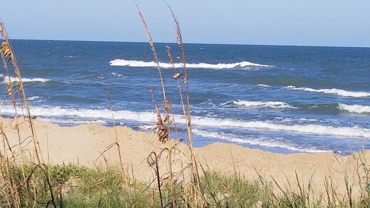 Photo of Others in South Padre Island
