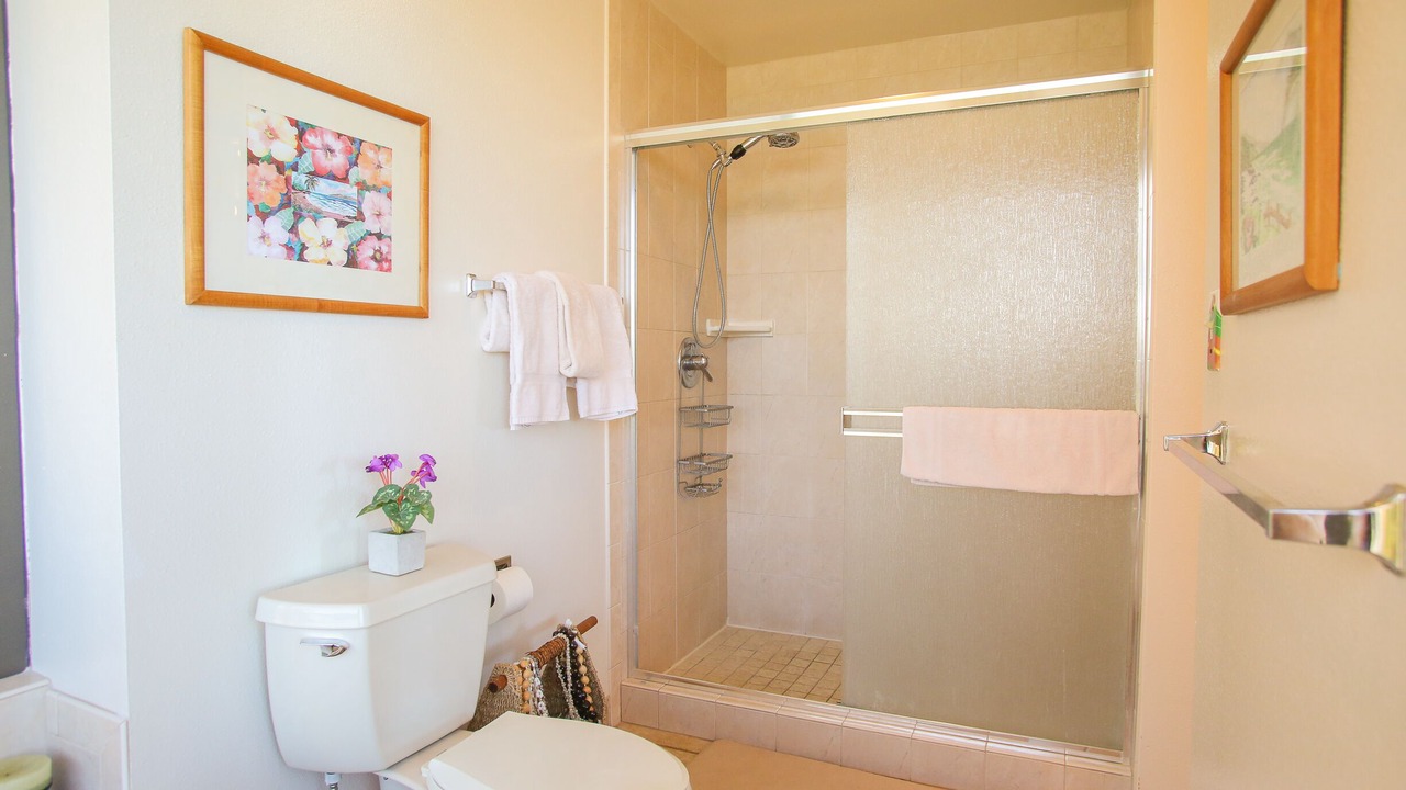 Photo of Bathroom in Kahana