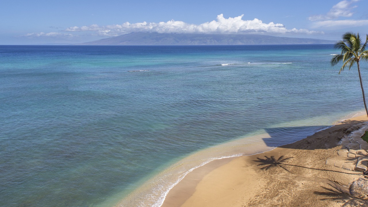 Photo of Others in Kahana