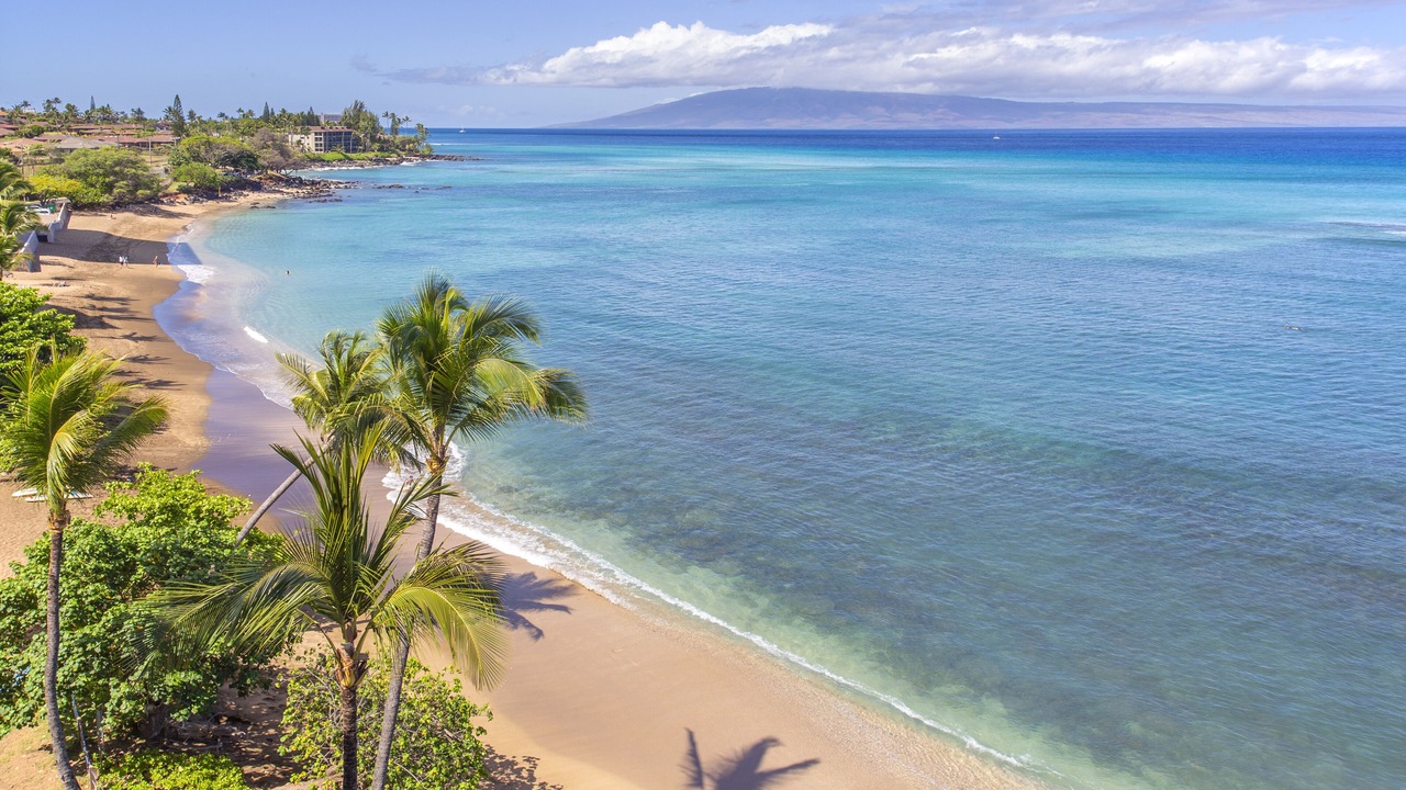 Photo of Others in Kahana
