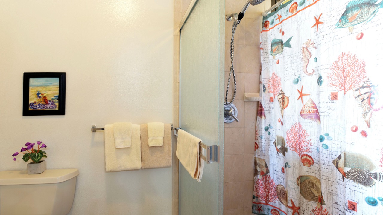 Photo of Bathroom in Kahana