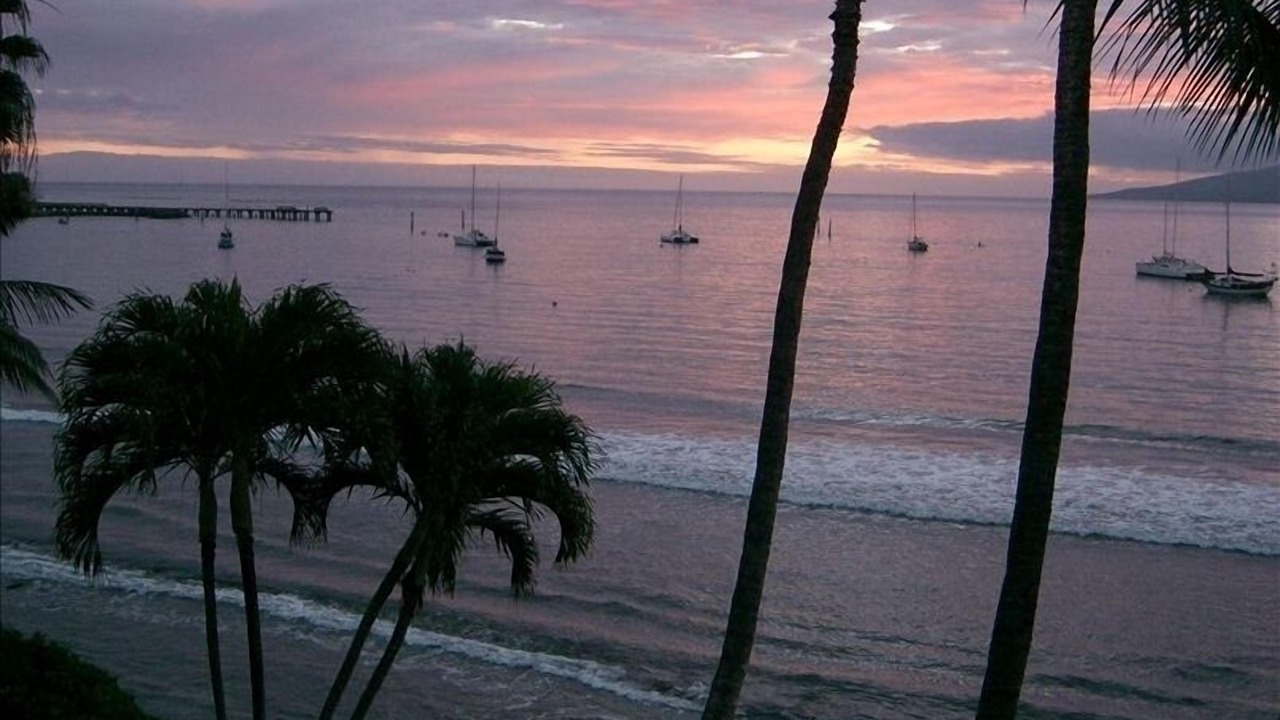 Photo of Others in Historic Lahaina Front Street