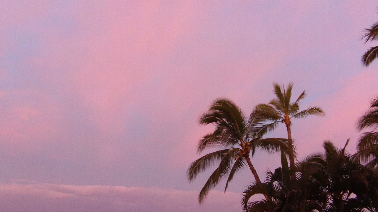 Photo of Others in Historic Lahaina Front Street