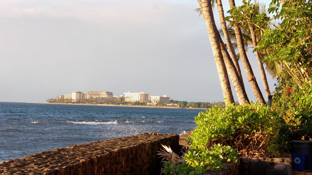 Photo of Others in Historic Lahaina Front Street
