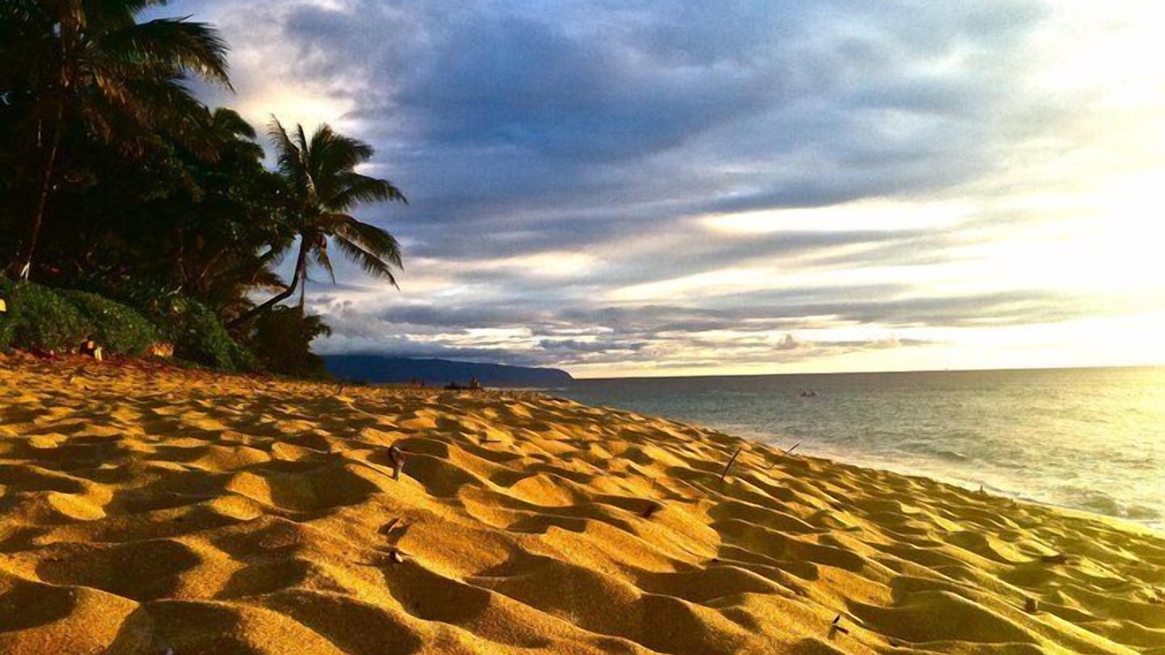 Photo of Others in Pupukea