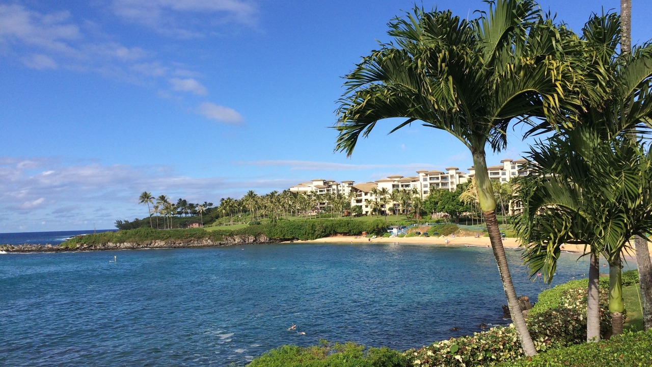 Photo of Others in Kapalua