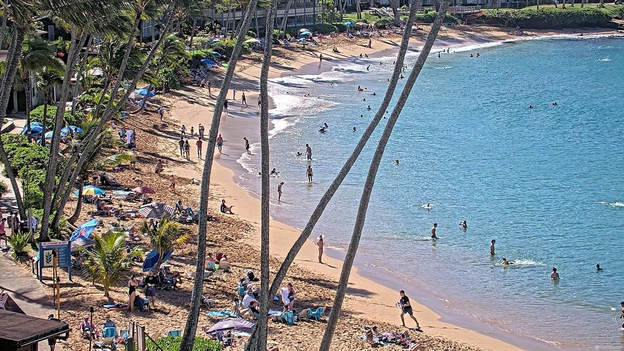 Photo of Others in Kapalua