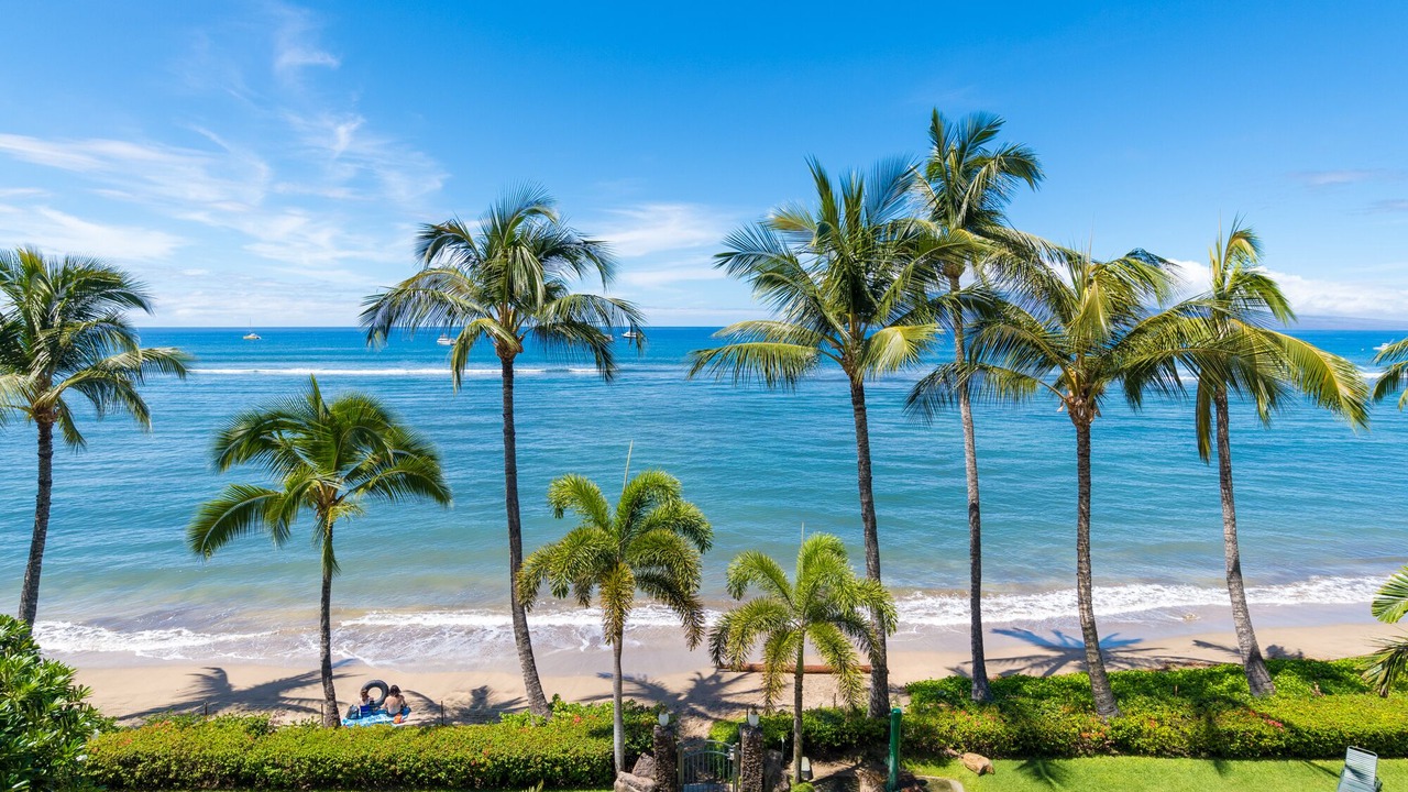 Photo of Others in Historic Lahaina Front Street