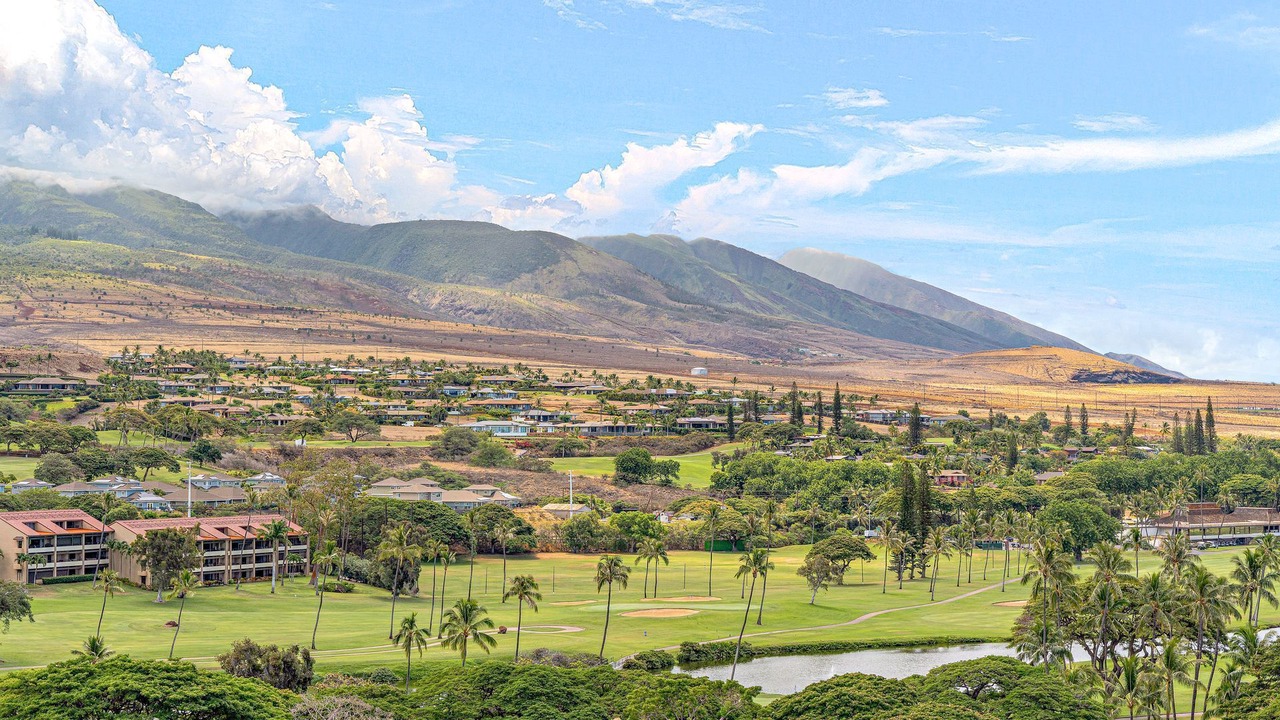 Photo of Others in Kaanapali