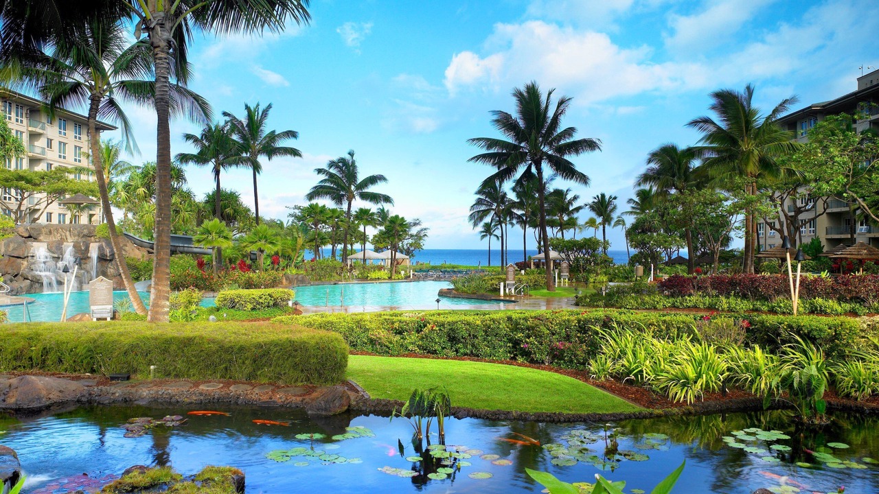 Photo of Outdoor in Lahaina