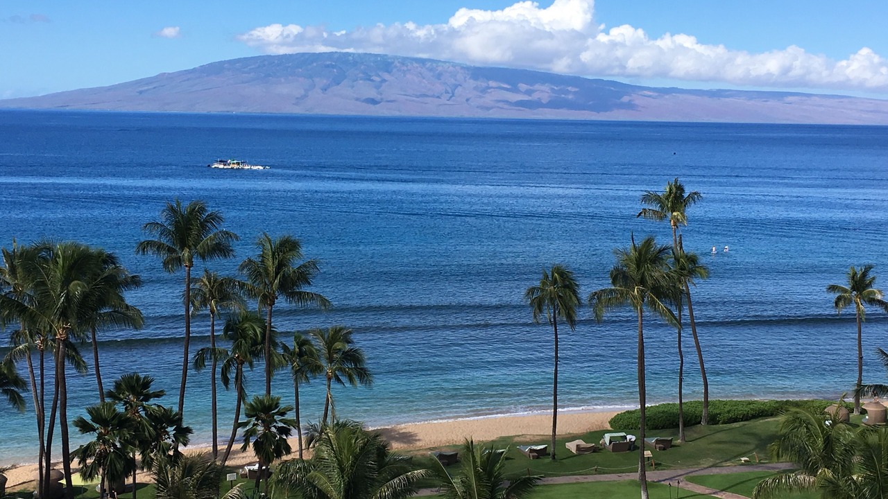 Photo of Others in Kaanapali