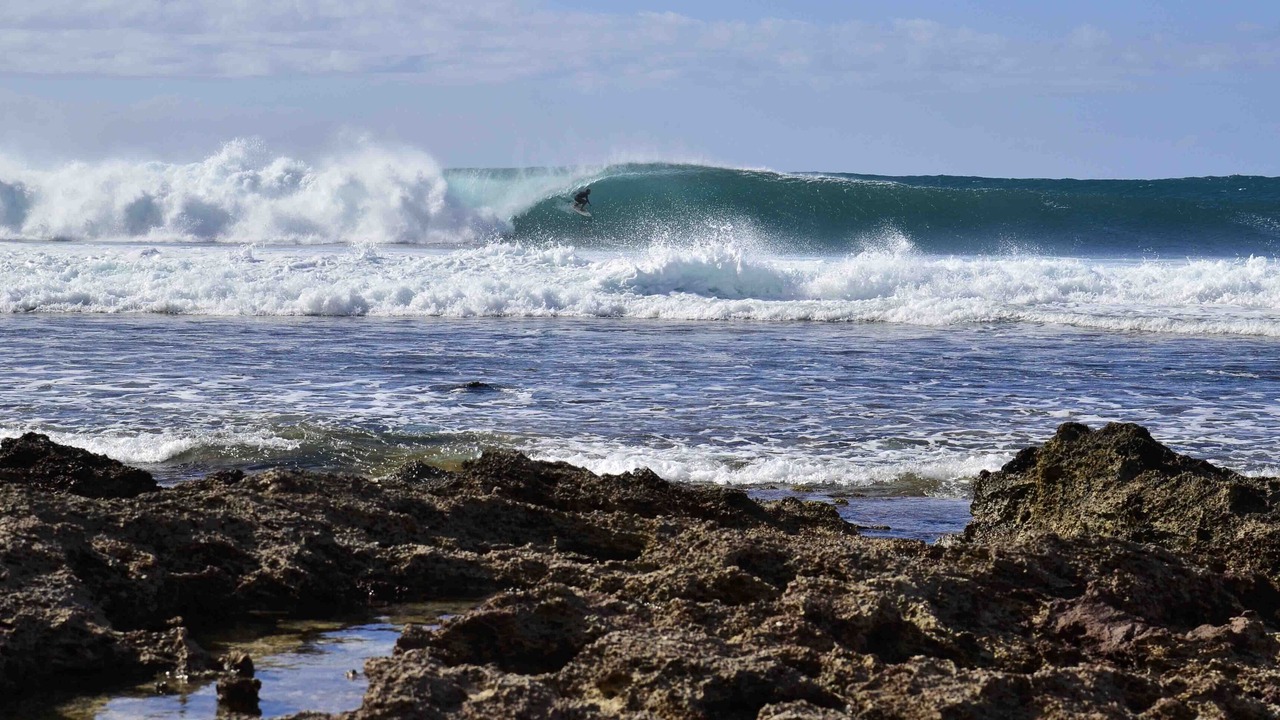 Photo of Others in Pupukea