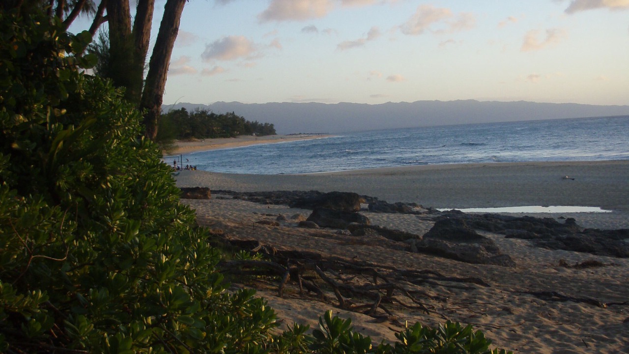 Photo of Others in Pupukea
