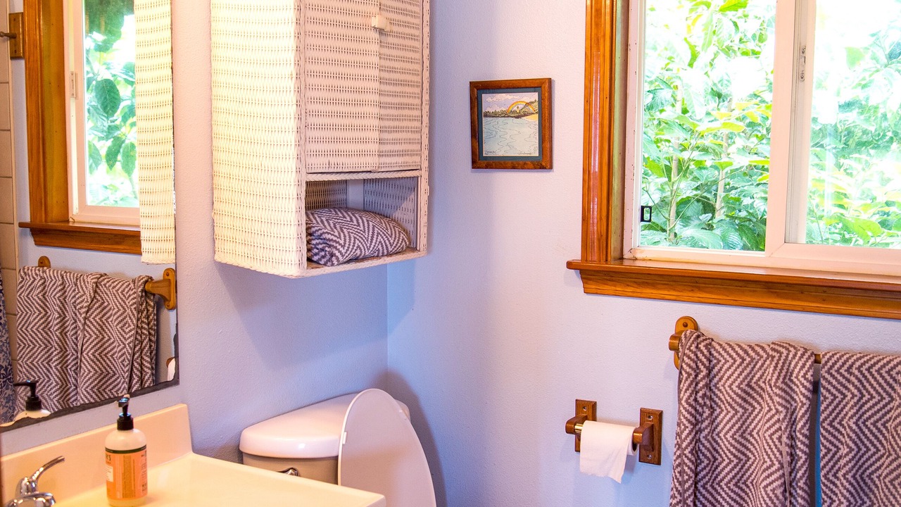 Photo of Bathroom in Pupukea