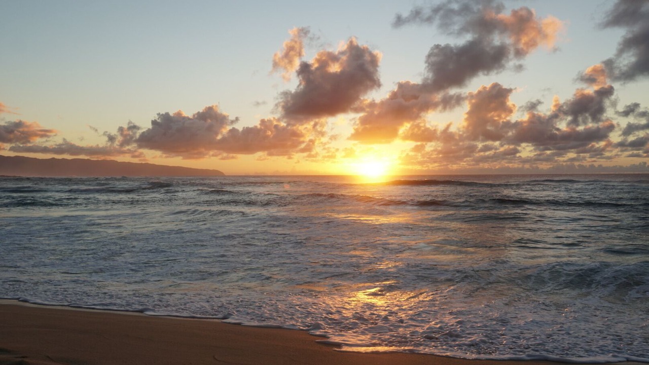Photo of Others in Pupukea