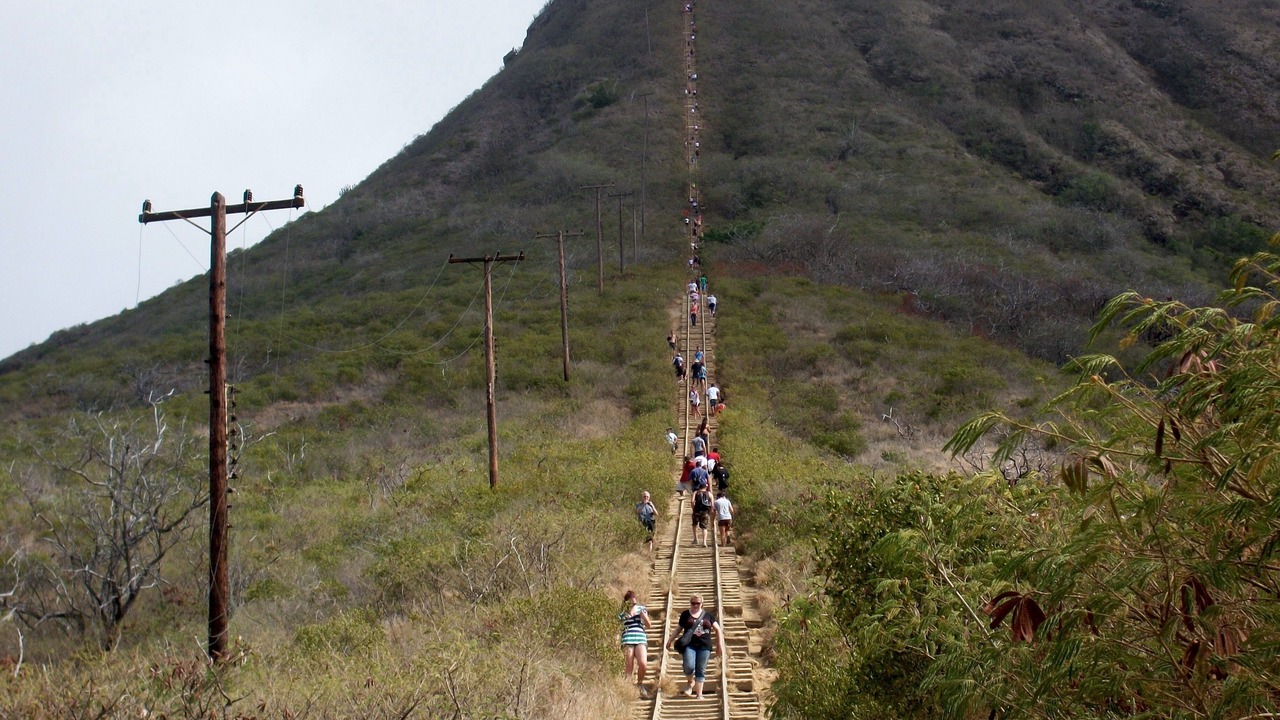 Photo of Others in Portlock