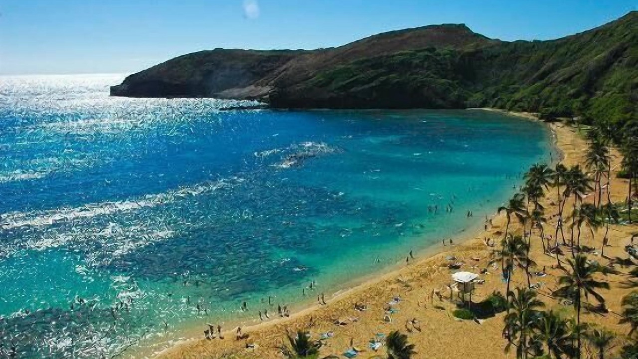 Photo of Others in Portlock