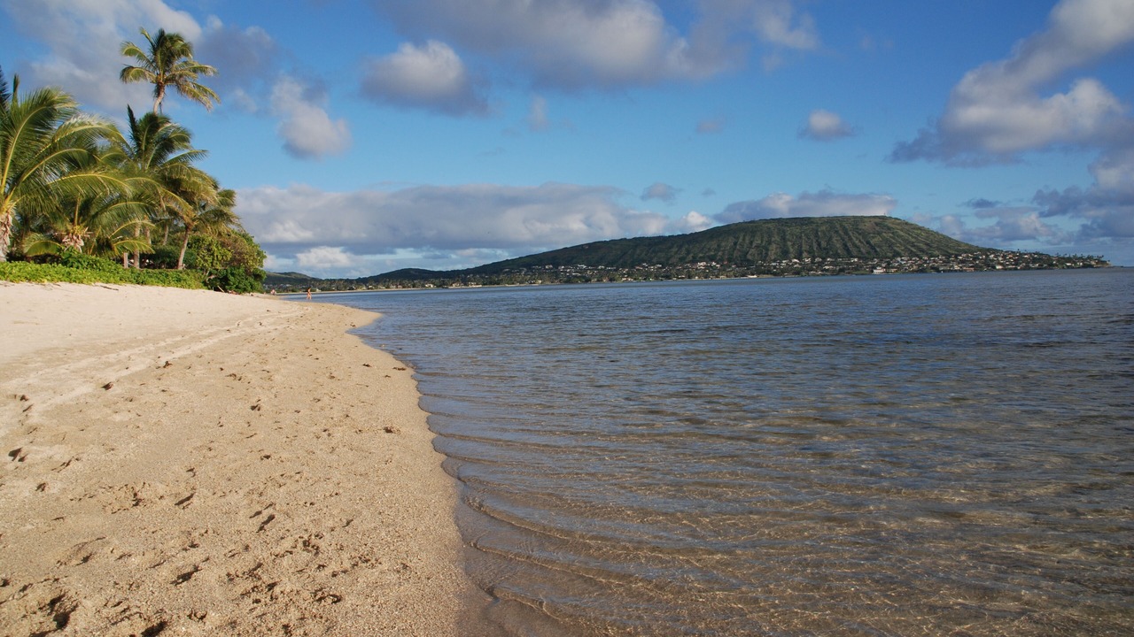 Photo of Others in Eastern Honolulu