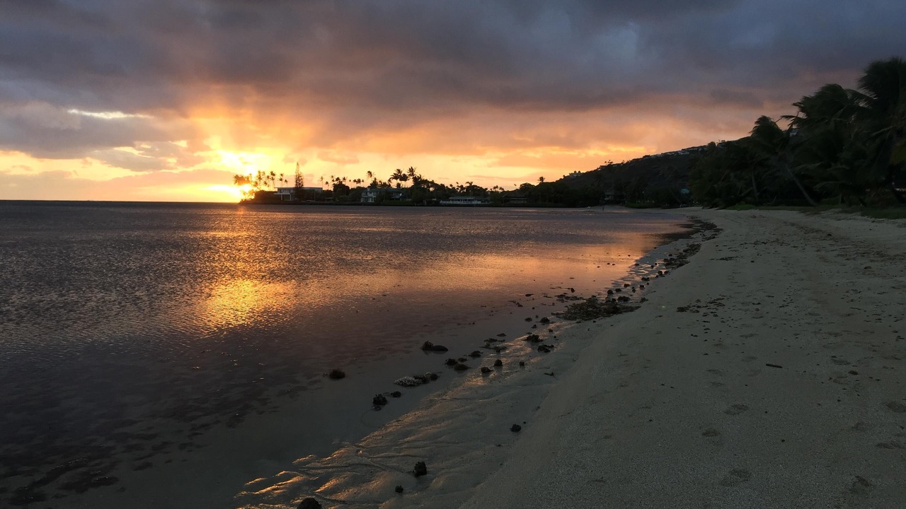 Photo of Others in Eastern Honolulu