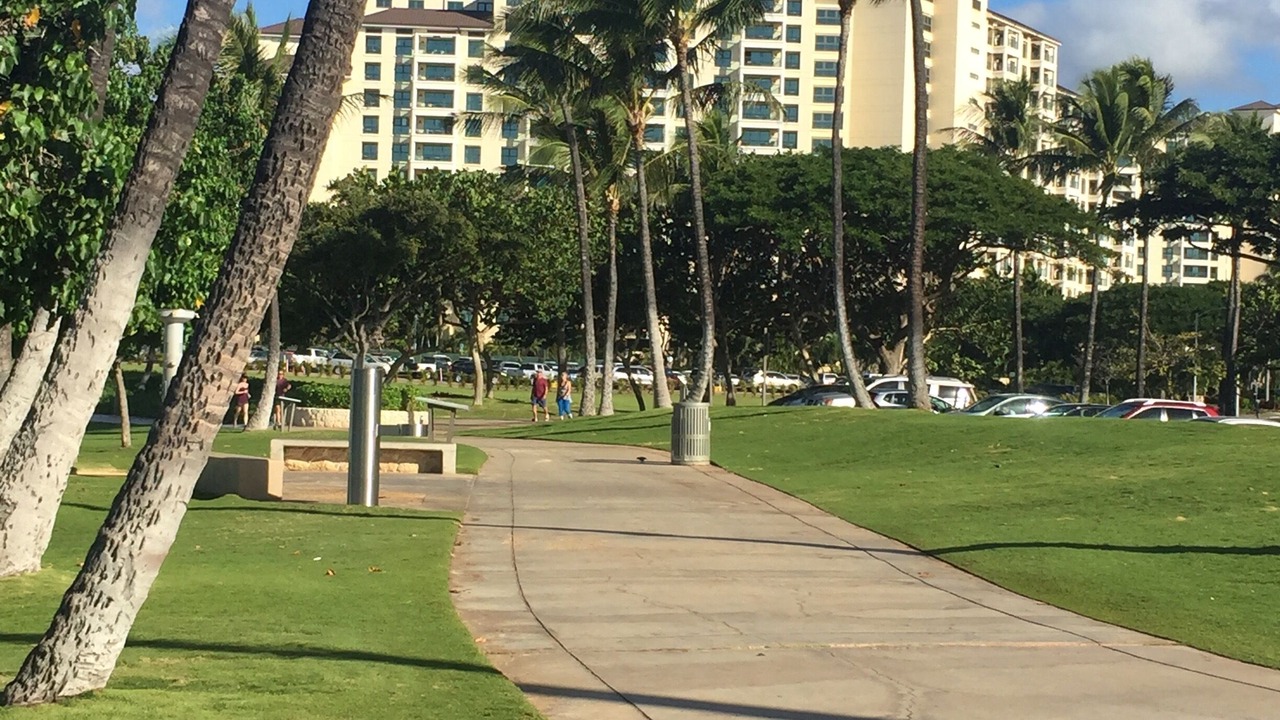 Photo of Outdoor in Kapolei