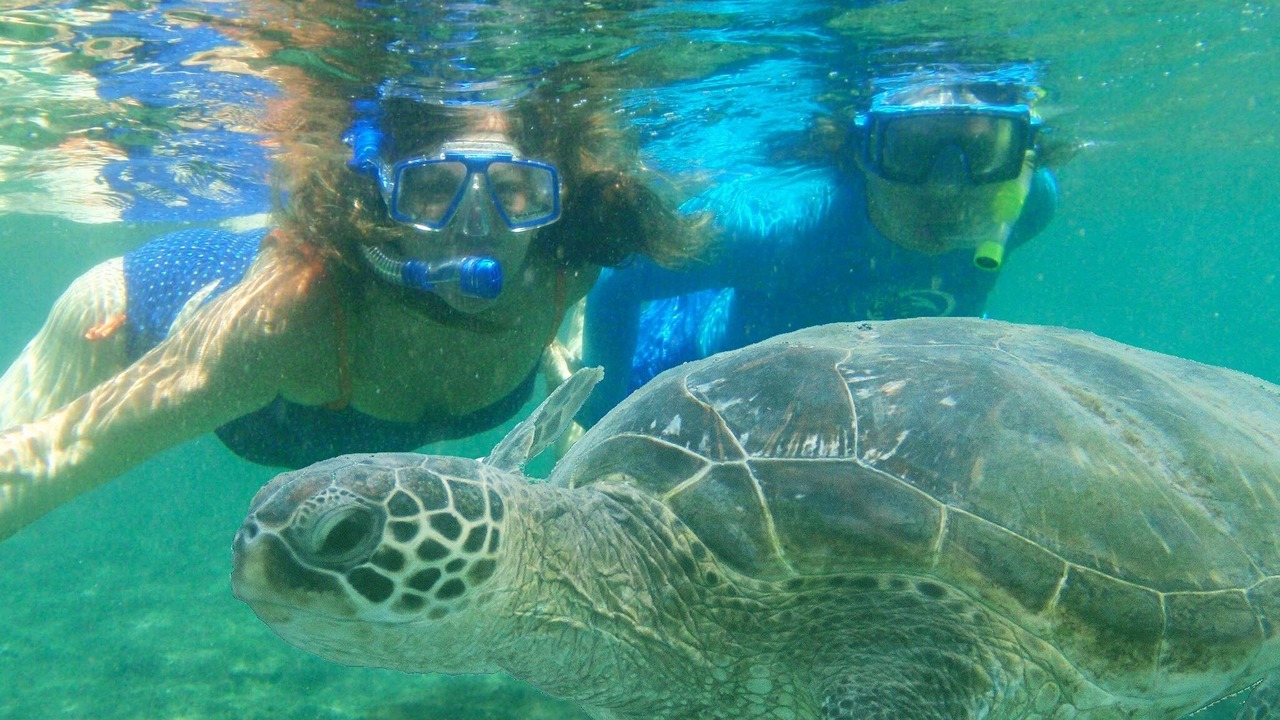 Photo of Others in Kaneohe