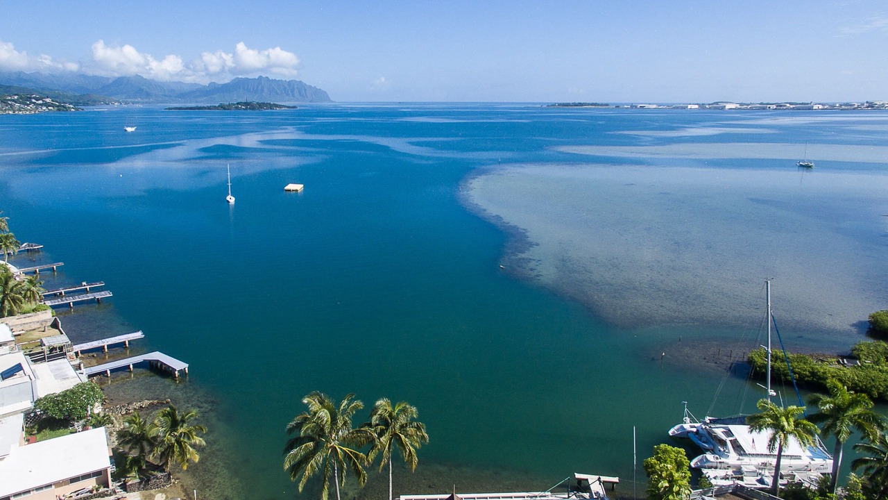 Photo of Others in Kaneohe