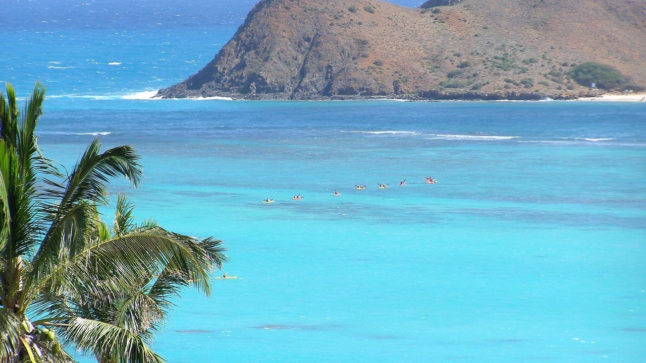 Photo of Others in Kaneohe