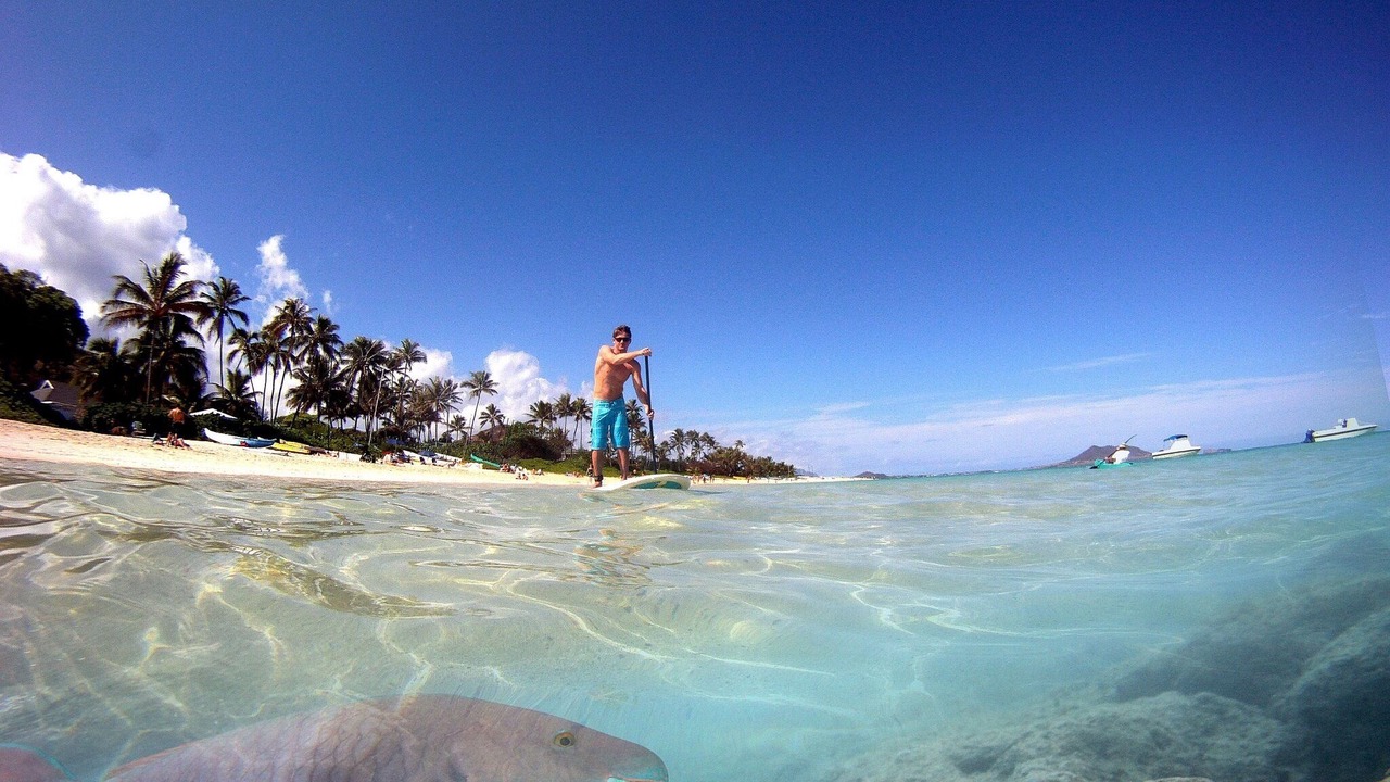 Photo of Others in Kaneohe