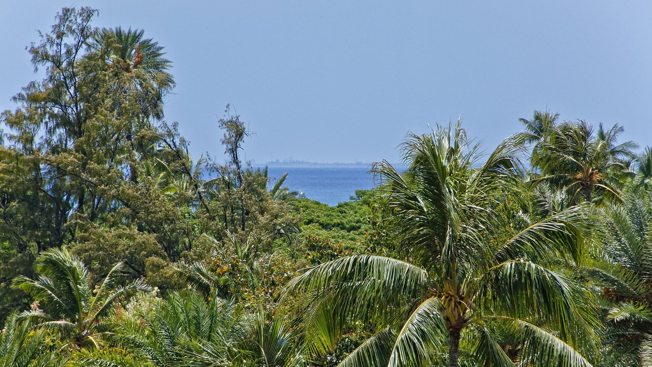 Photo of Outdoor in Waikiki