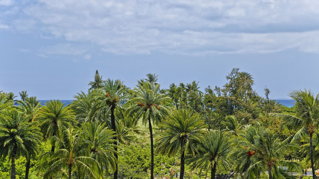 Photo of Outdoor in Waikiki