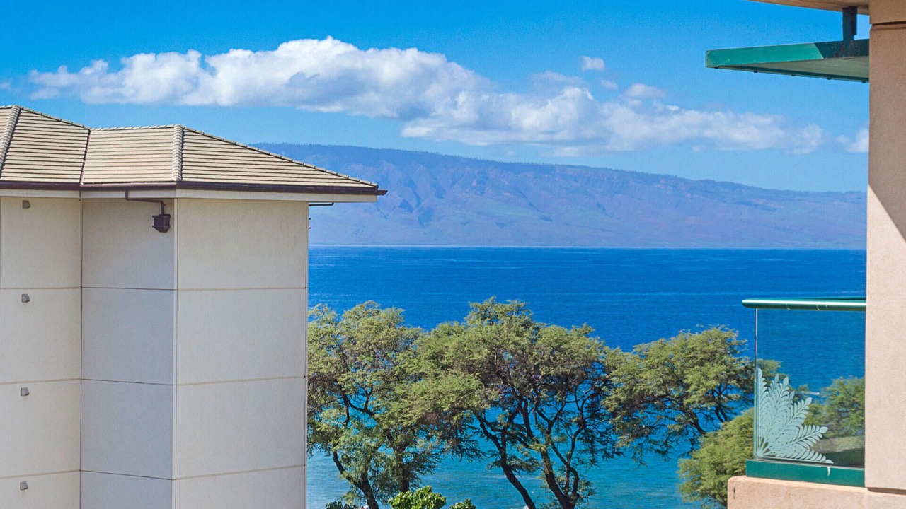 Photo of Others in Kaanapali