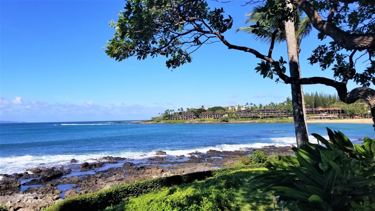 Photo of Others in Napili