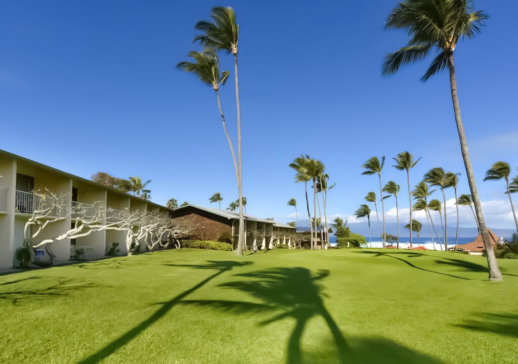 Photo of Others in Napili
